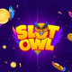 Slot Owl